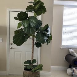 Artificial 10/feet 