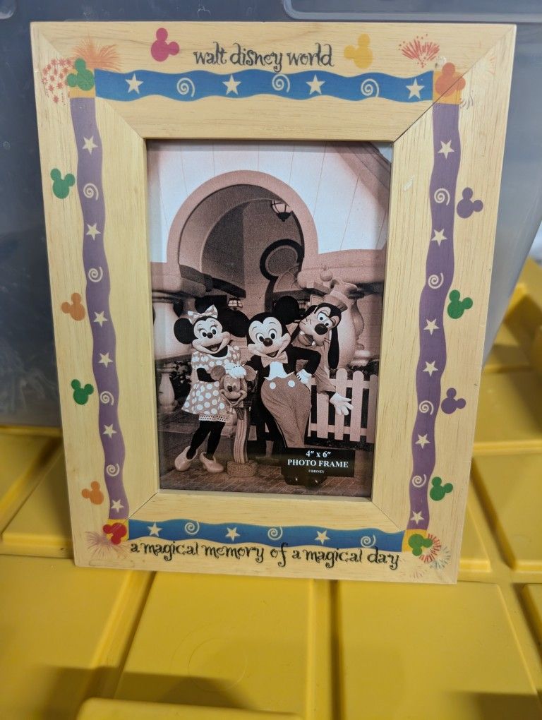 Official Walt Disney World 4x6 Photo Frame