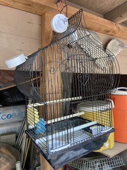 Small Birdcage 