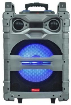 Bluetooth speaker SD card,slot USB port,FM radio,microphone included for karaoke