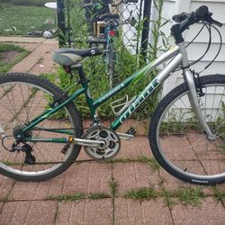 Giant 7x3 Speeds,26 Wheels, 14 Inch Bike 