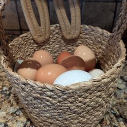 Organic Eggs