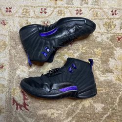 Jordan 12s (10 US Men’s)