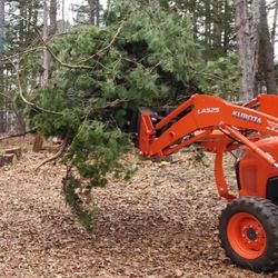 Kubota Tractor Loader Excavation Work.