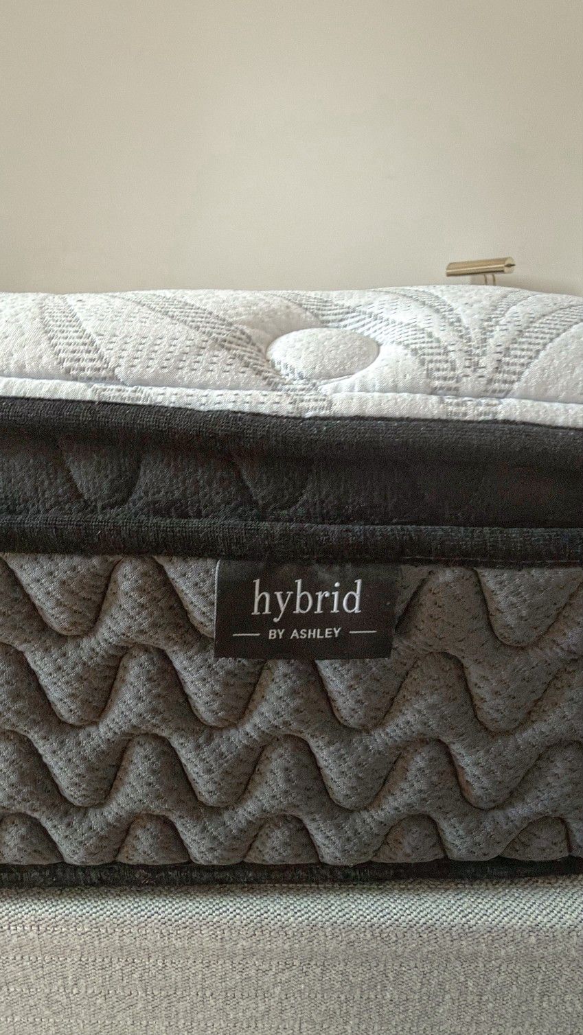 Spring Box Bed
