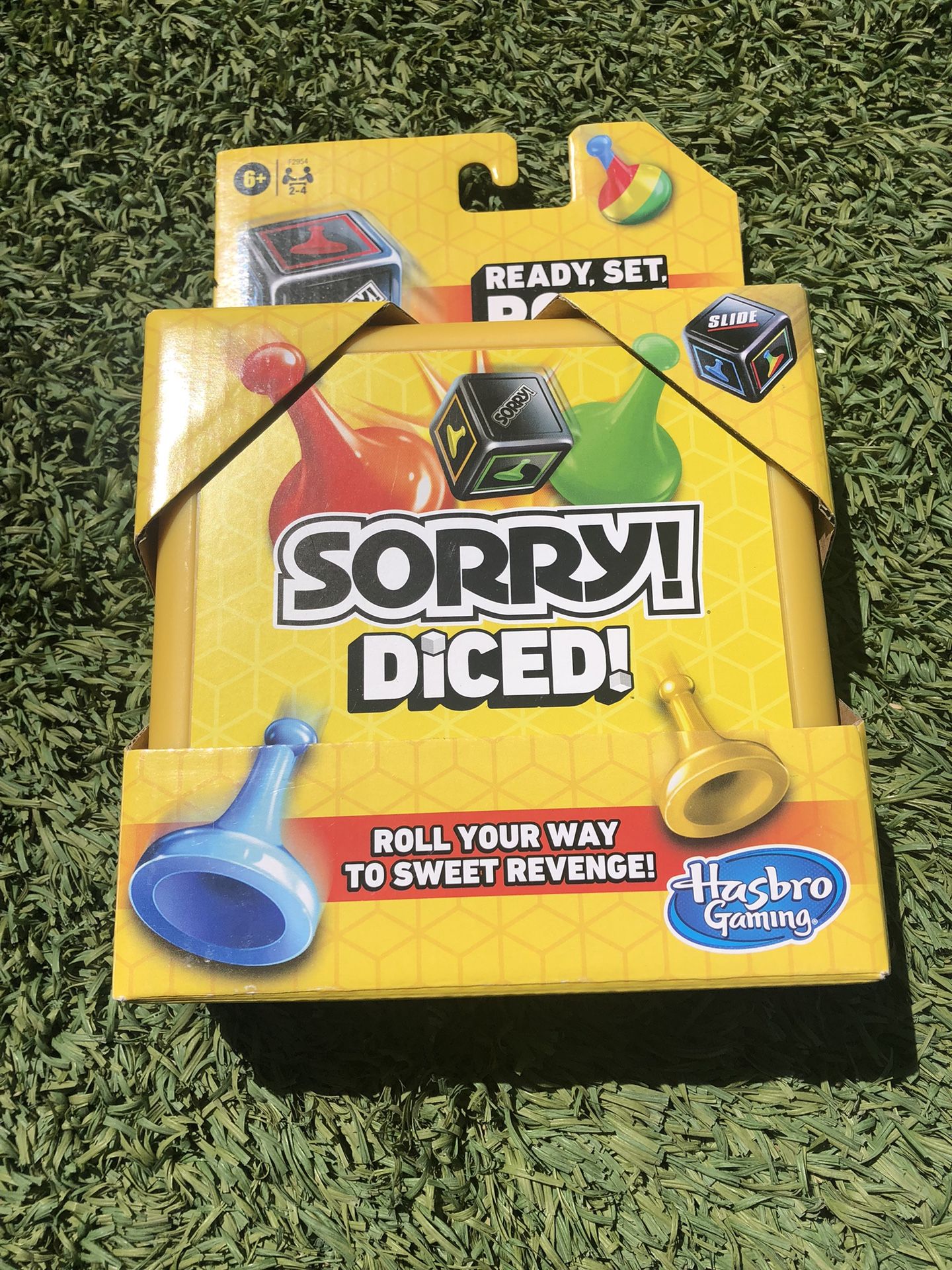 Hasbro Gaming Sorry DICE Game