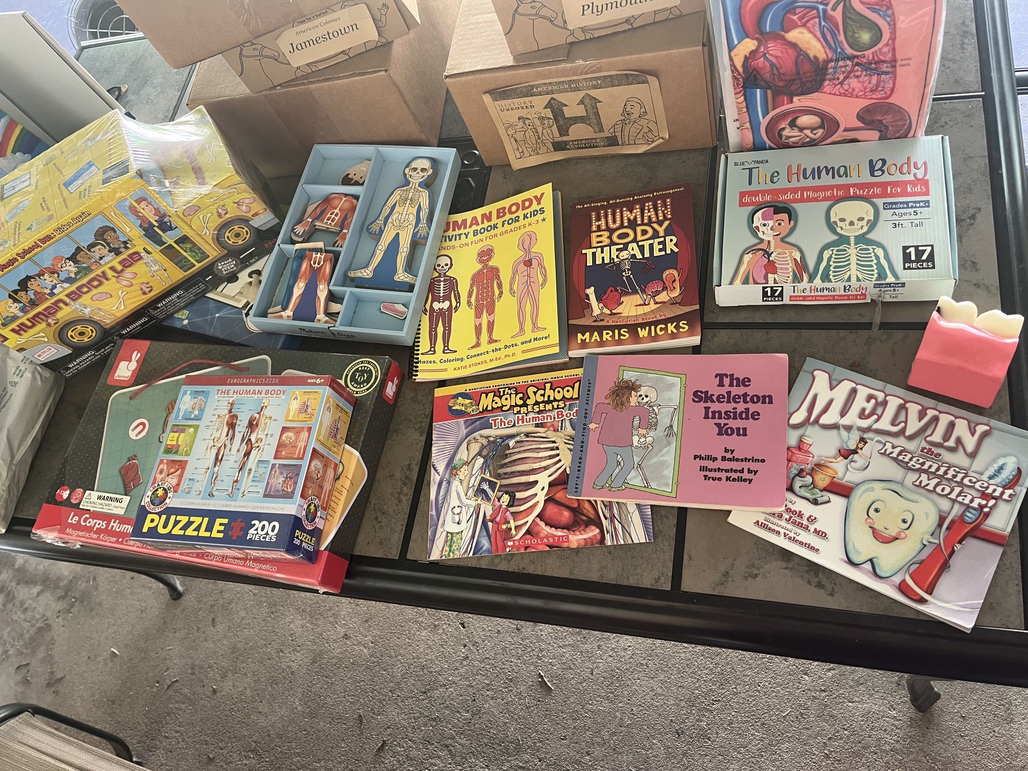 Human body homeschool Unit bundle