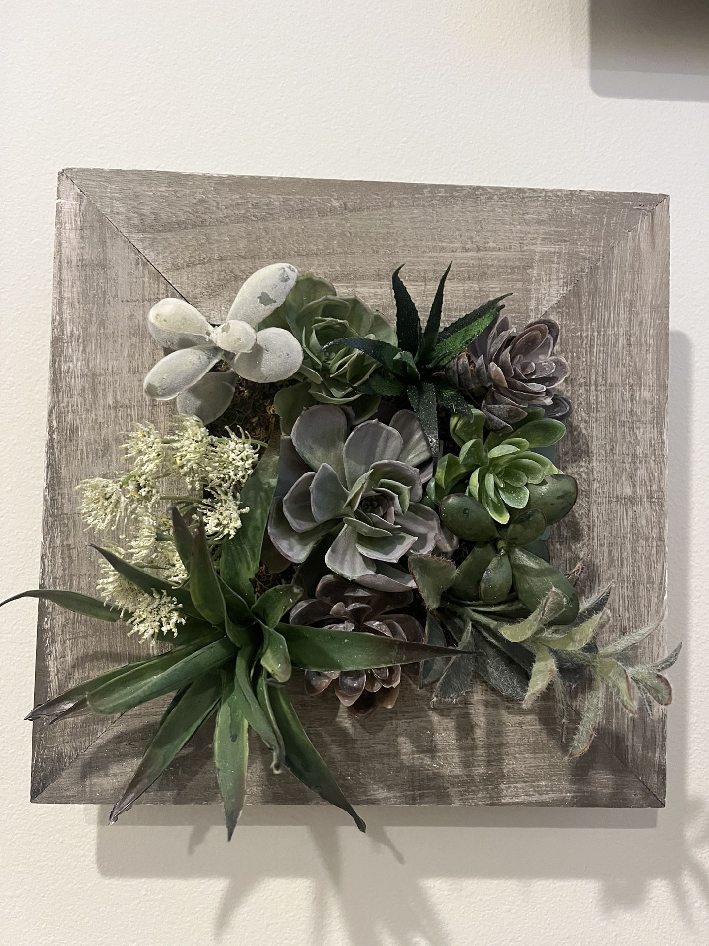Faux succulents Set Of 2 Wall Frames
