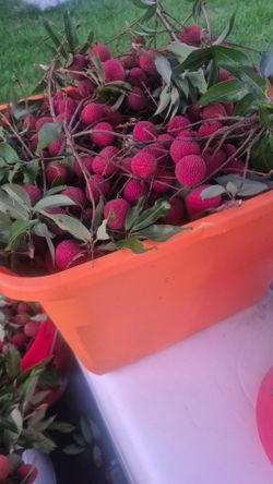 Sweetheart Lychees