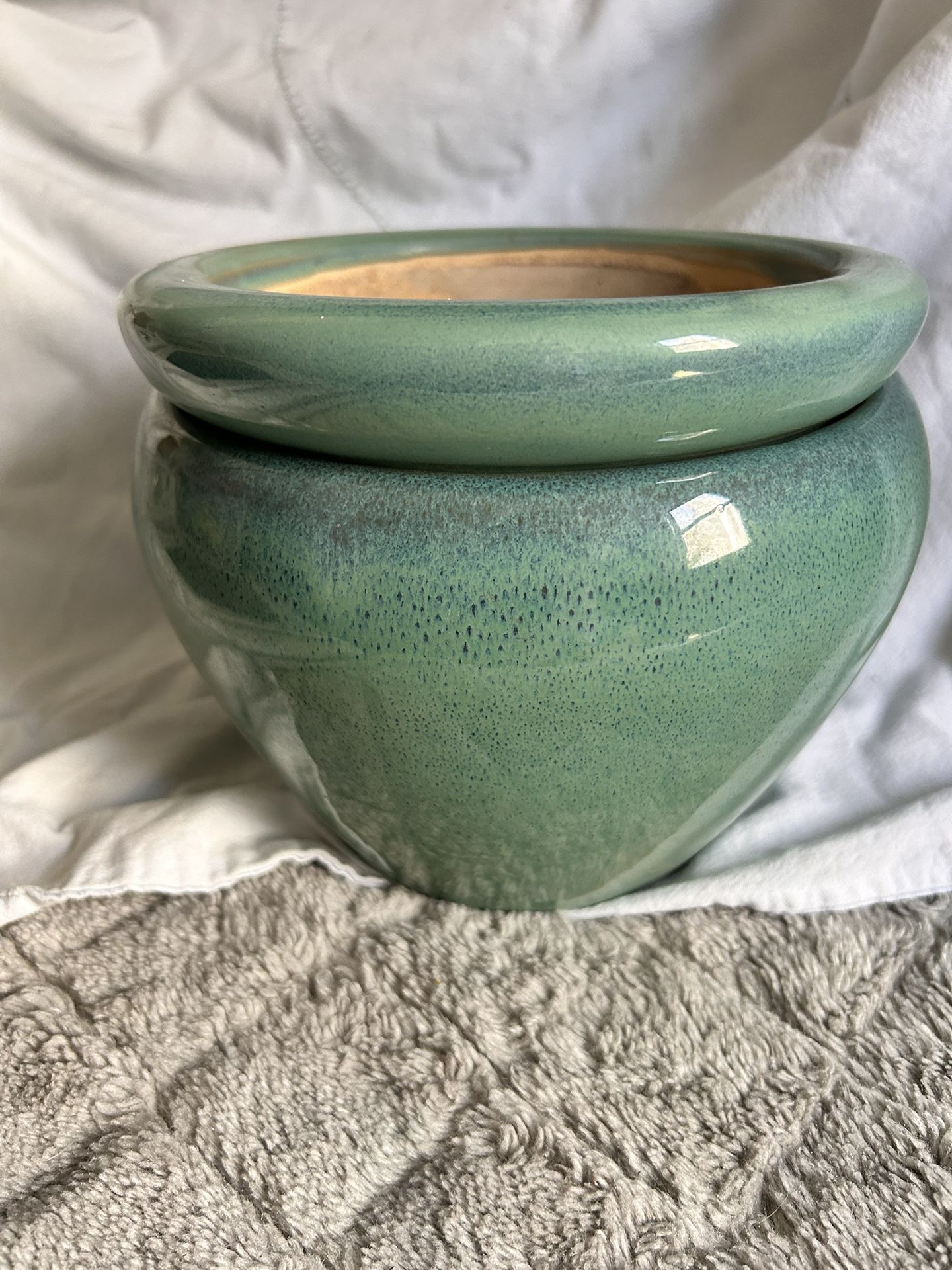 Gorgeous Teal Colored African Violet Duel Pot