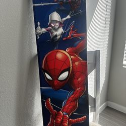 Canvas Spider-Man Picture