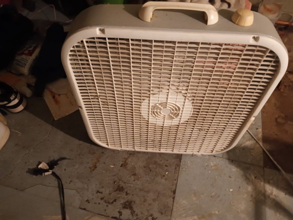 Fan