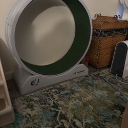 Cat Exercise Wheel