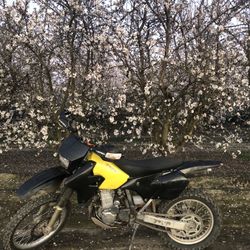 2001 Suzuki Drz 400e