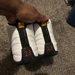 Jordan 12 CDP