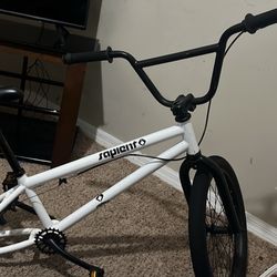 Sapient BMX Bike