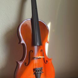 Scherl And Roth Violin 
