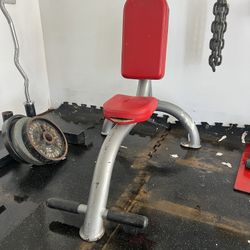 Weight Bench 