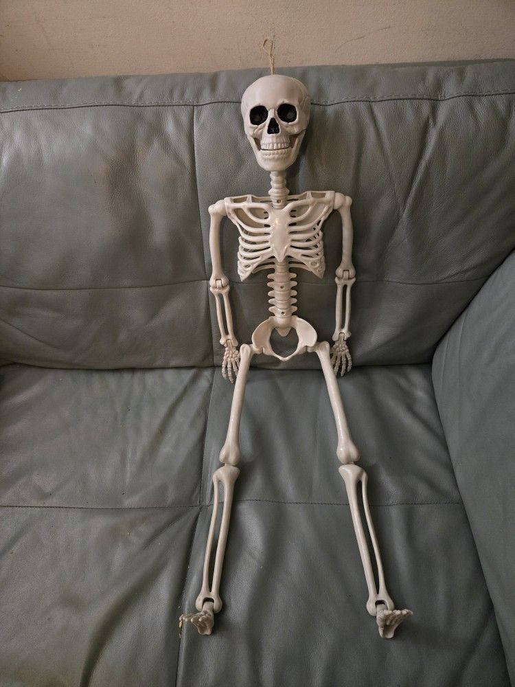 38 " Posable Skeleton Decoration 