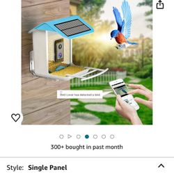 isYoung Smart Bird Feeder with Camera, Free AI Forever, Identify Bird Species, Wireless Connection Bird Camera with Solar Panel, Auto Capture & Notify