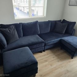 Black Velvet Couches