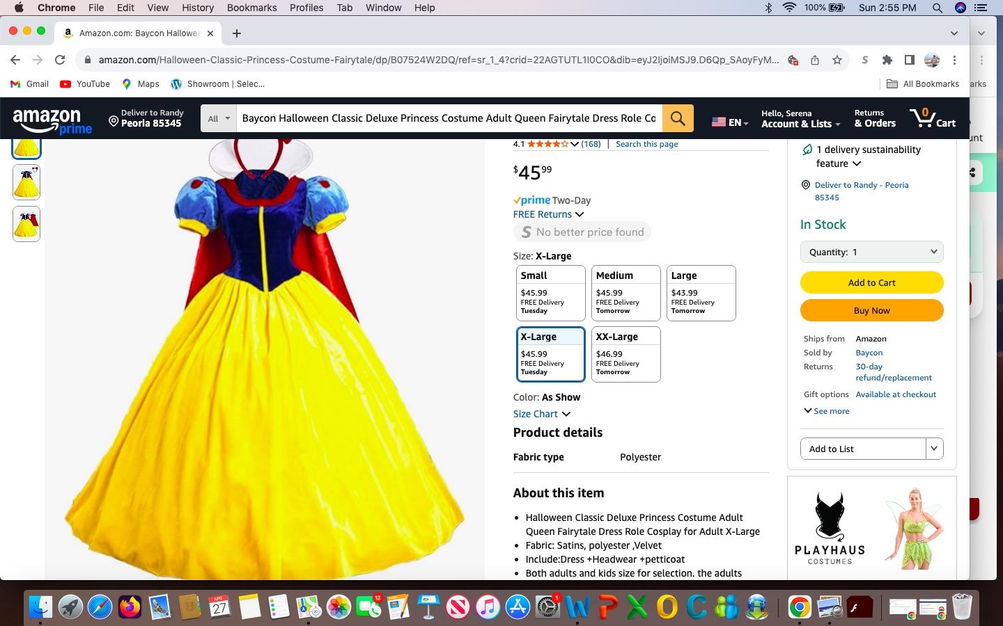 Classic DeLux Princess Costume Adult Queen