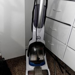 Hoover Pet Cleaner