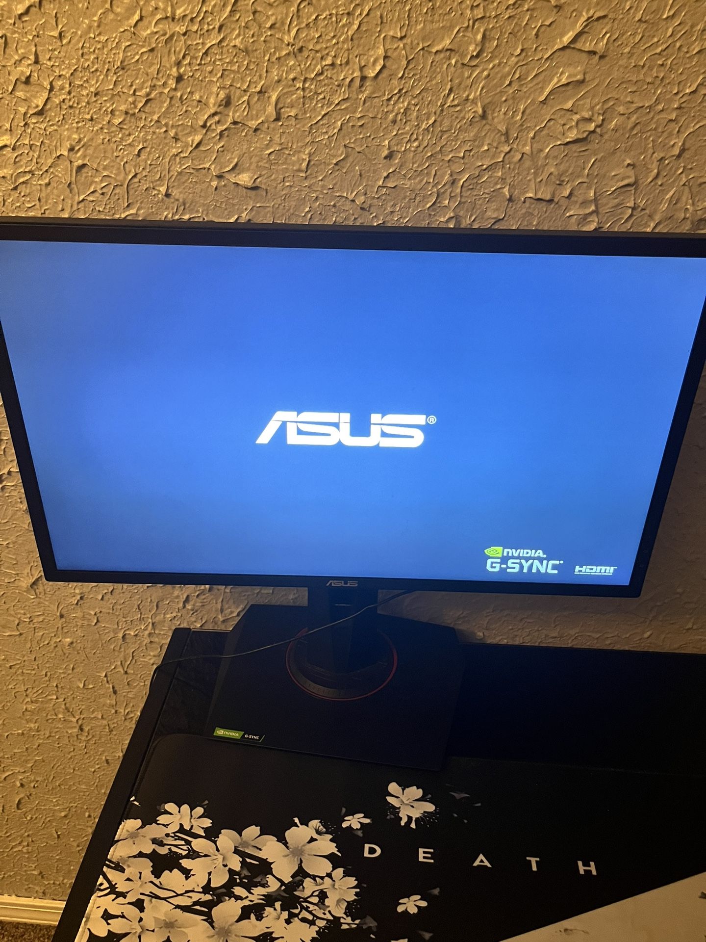 Asus Gaming Monitor 165 Hertz 24 Inch