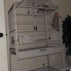 Bird cage