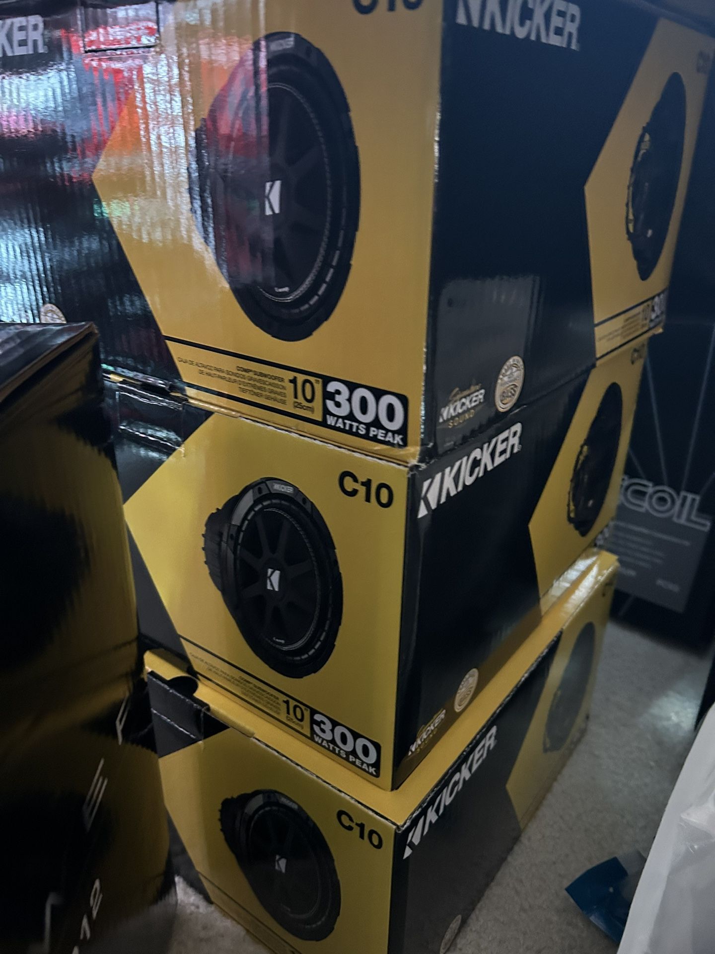 10” Subwoofer