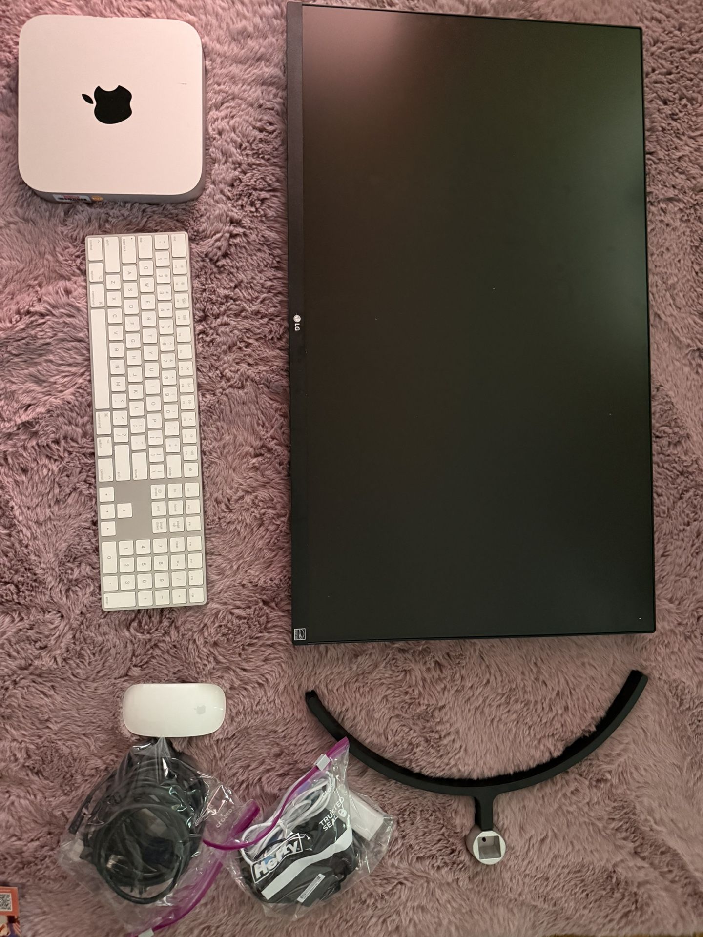 Monitor & Mac Mini w/ Magic Keyboard & Mouse