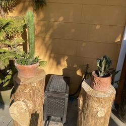 Plant Stands 
