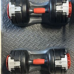 Adjustable Dumbbells 25lb To 60lb OBO
