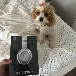 Dr Dre Beats Solo 3