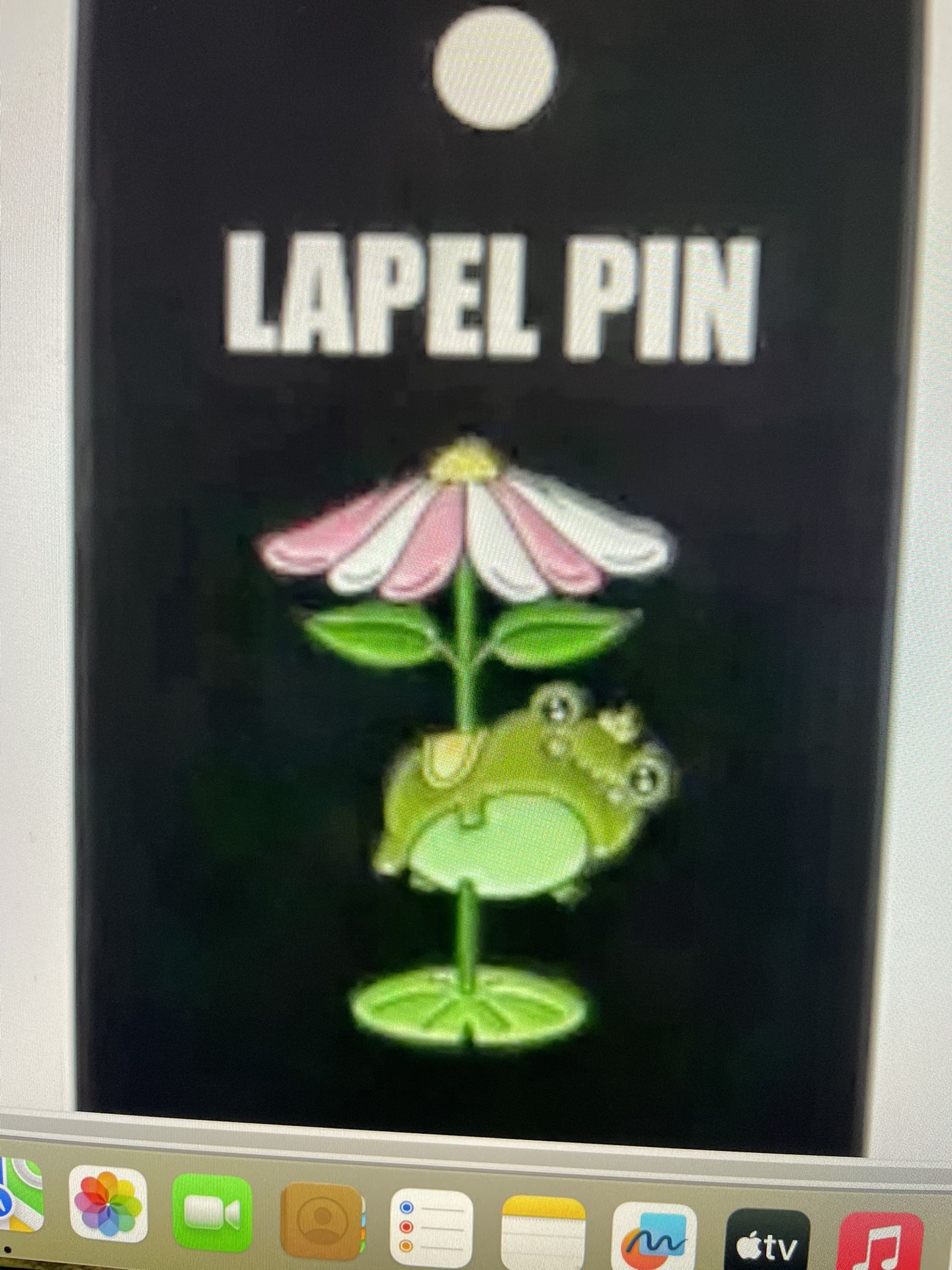 Frog Flower Carousel Enamel Pin