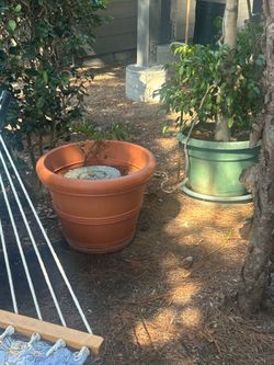 Big brown pots