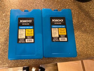 Igloo Large Ice Block 2-Pack