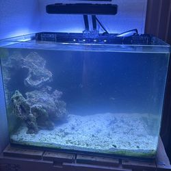 45 gallon fish tank