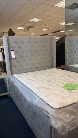 Modern Queen Bed