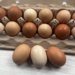 Farm Fresh-Pasture Eggs