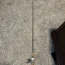 Fishing Rod And Reel (Casting)