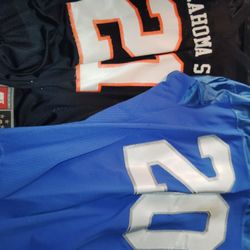Rare "B."  Berry Sanders NFL JERSEY/COLLAGE JERSEY