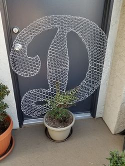 Dodger D Topiary Plants - 36" White