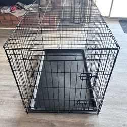 Collapsible dog crate