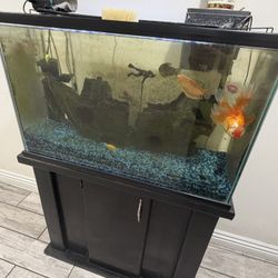 Fish Tank 40 Gallons 