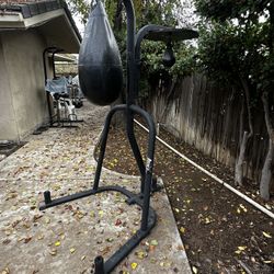 Boxing Bag, Stand And Gloves 
