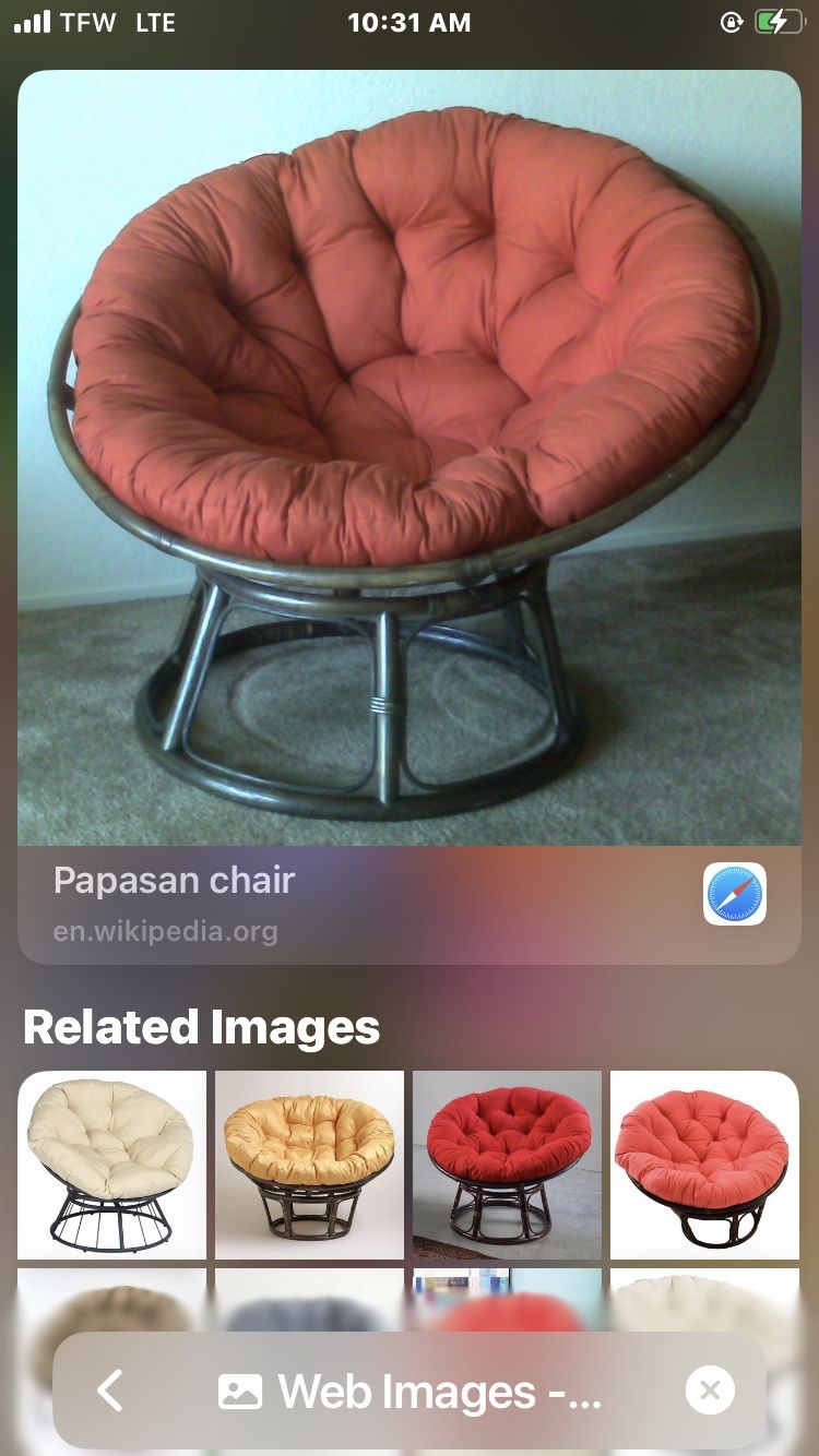 Paupasian Chair (FRAME ONLY NO CUSHION)