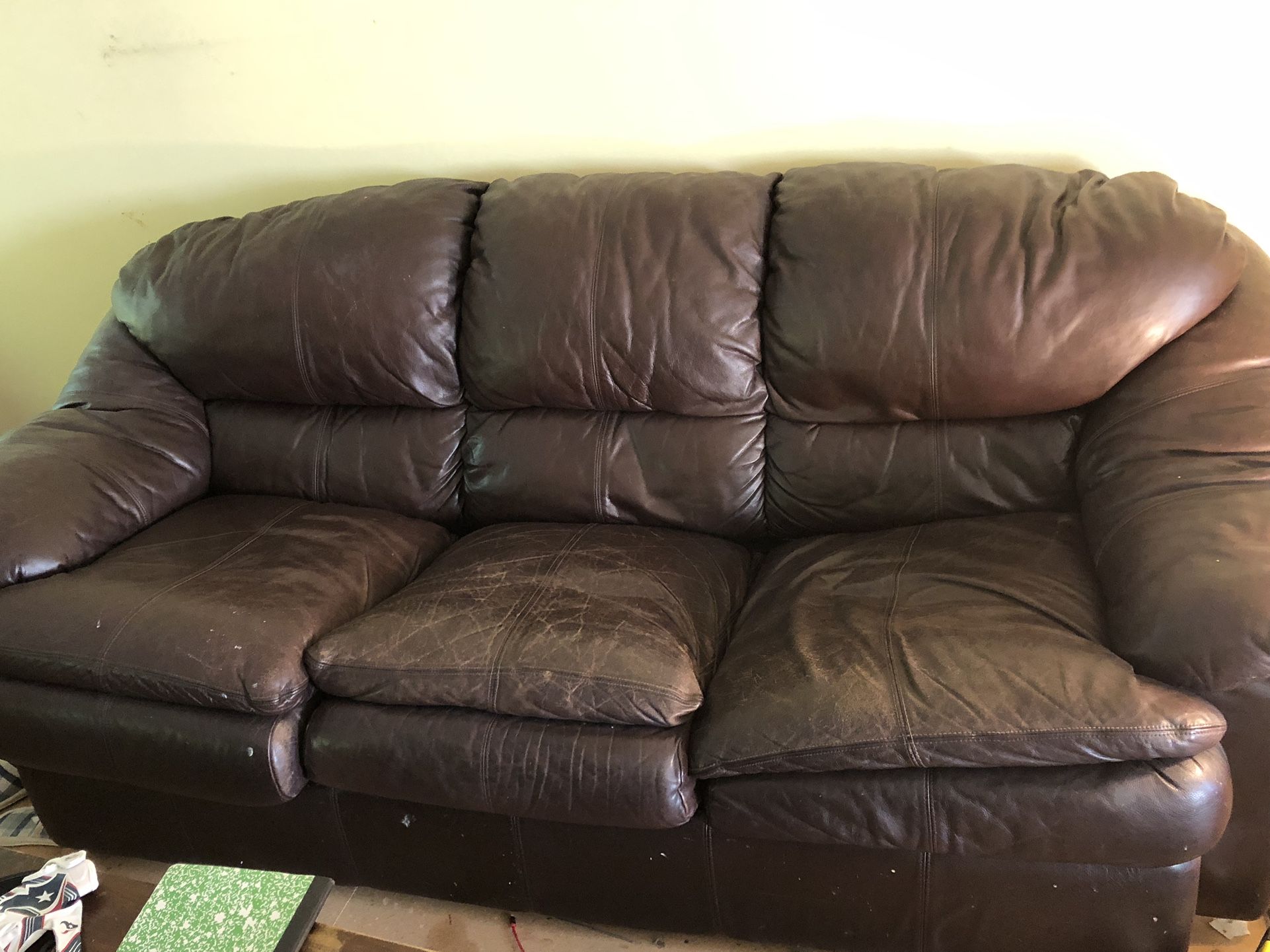 Leather Hide Abed Couch
