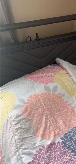 Comfy bed