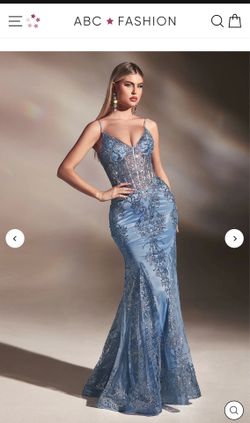 Dusty blue Cinderella brand
